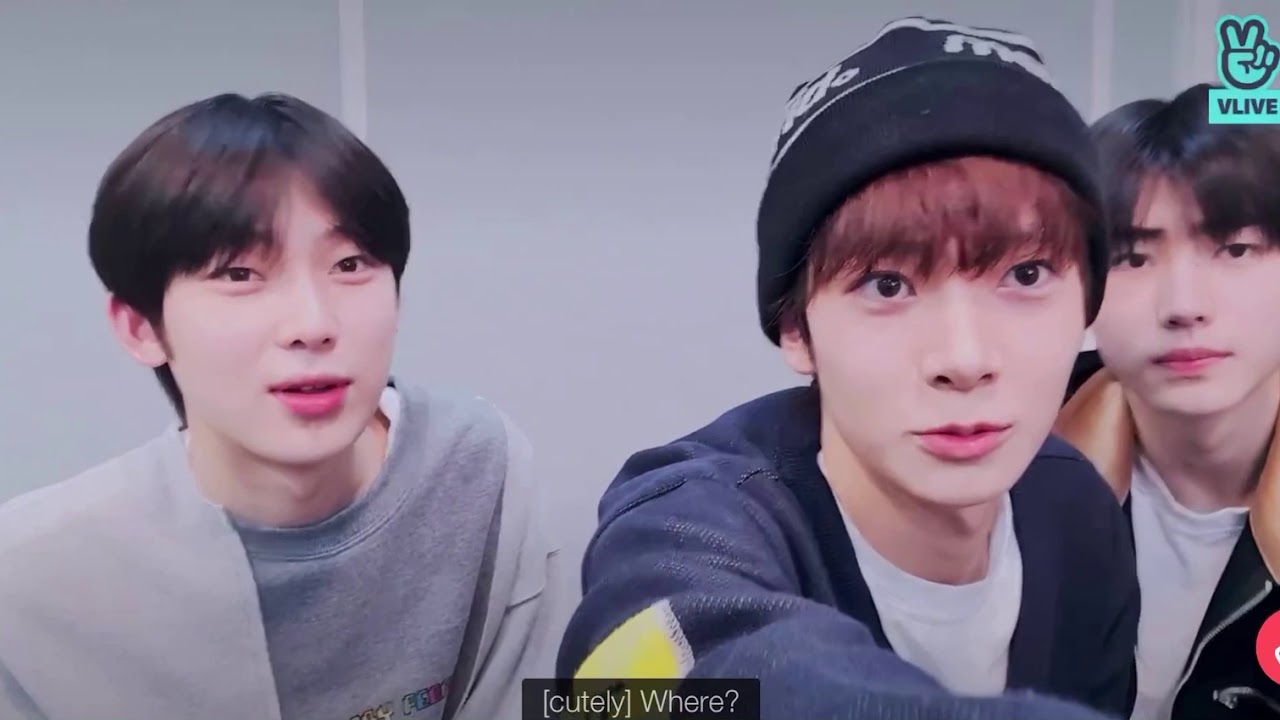 Enhypen Sunoo, Heeseung and Sunghoon aegyo