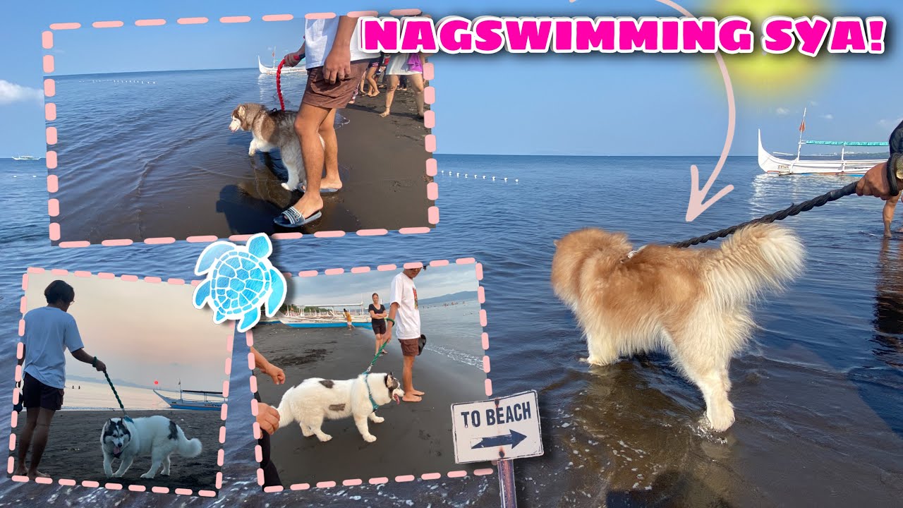 Huskypack Goes To The Beach! | NAGLANGOY DIN! | Husky Pack TV