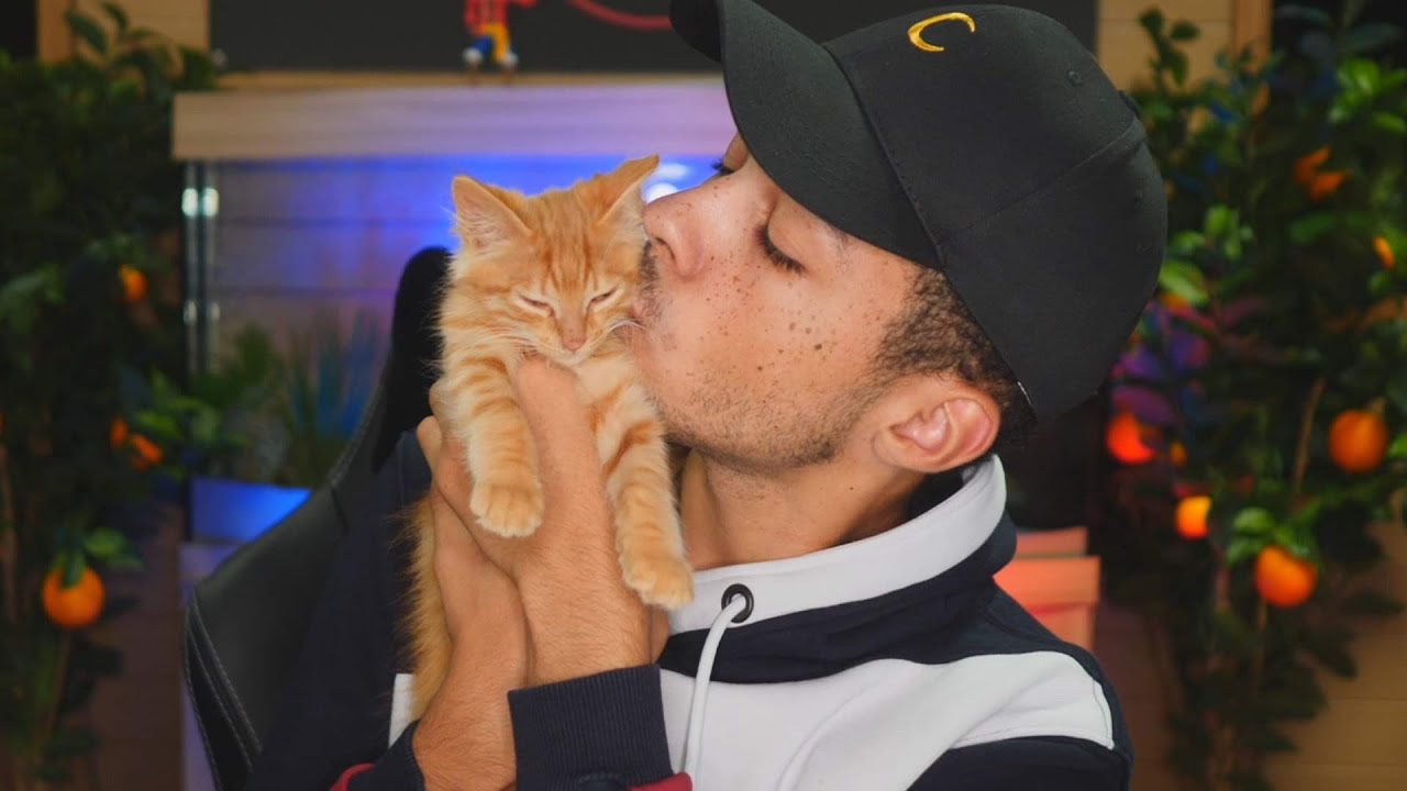 J’AI RECUEILLI UN CHATON ABANDONNÉ (beaucoup trop mignon)
