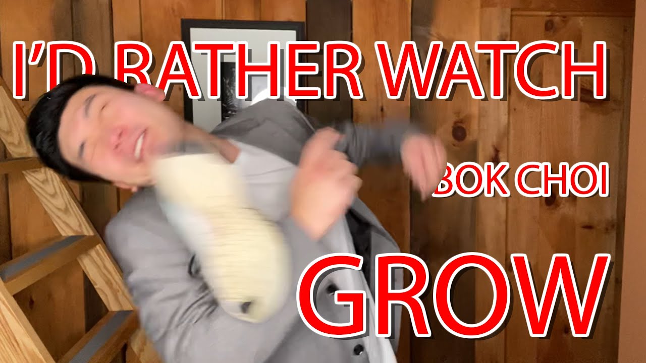 Asian dad tries positivity