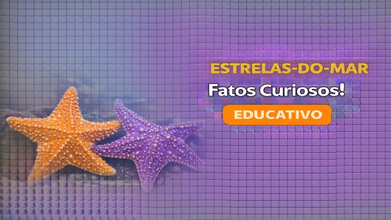 ESTRELAS-DO-MAR: SEGREDOS SURPREENDENTES DESSE MARAVILHA...