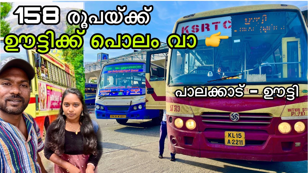 158 രൂപയ്ക്ക് ഊട്ടിക്ക് പോകാം വാ 🚎 | KSRTC Palakkad to Ooty daily bus full journey