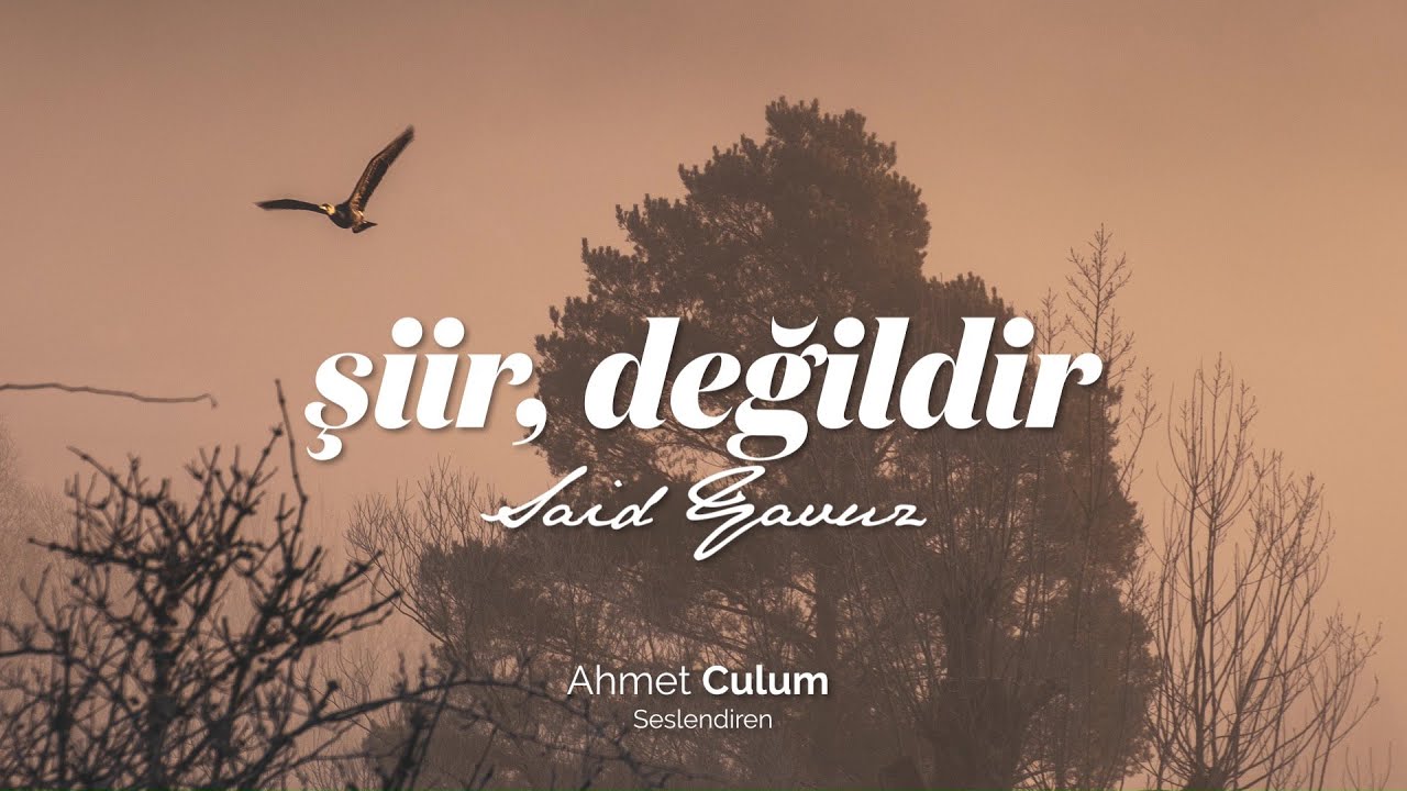 Said Yavuz | Şiir, değildir [Şiir Dinletisi]