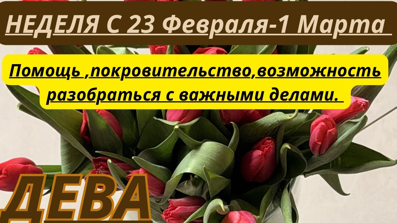 ДЕВА ♍️ ТАРО ПРОГНОЗ С 23 Февраля-1 Марта/2026 от Alisa Belial.