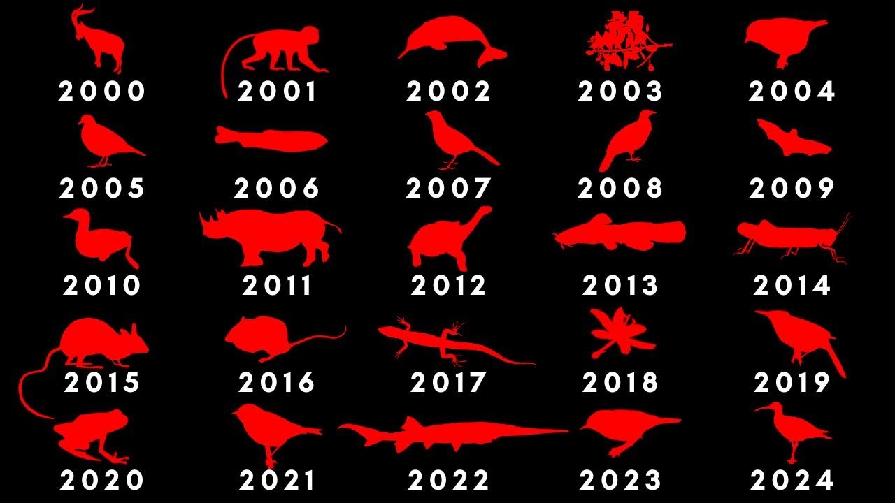 Extinction - A Quarter Century of Lost Species