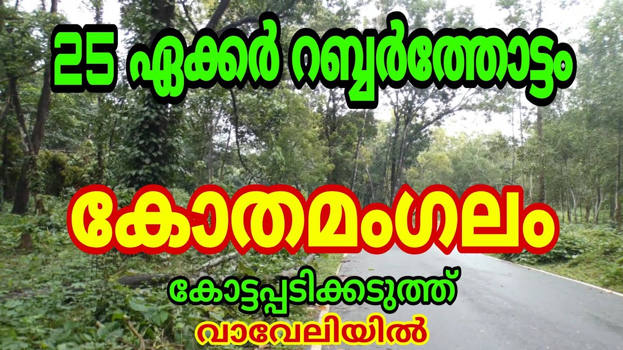 25 Acres of Rubber Plantation for sale at Vaaveli, Kottappadi near Kothamangalam. Plenty of water.