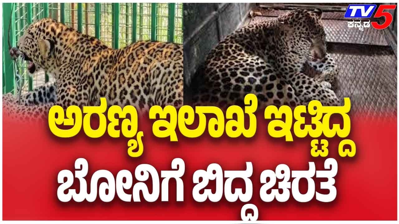 Leopard Captured In Sarthavalli Tumakuru | ಅರಣ್ಯ ಇಲಾಖೆ ಇಟ್ಟಿದ್ದ ಬೋನಿಗೆ ಬಿದ್ದ ಚಿರತೆ