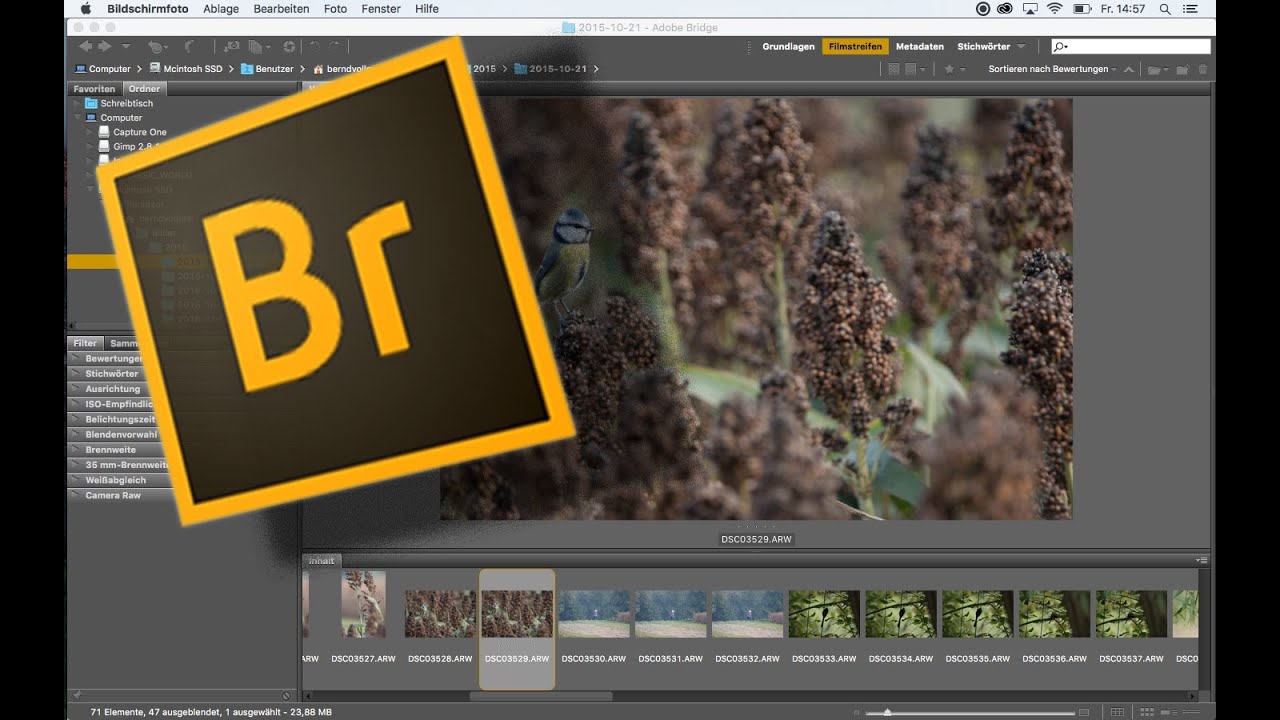Adobe Bridge - kurz und knapp