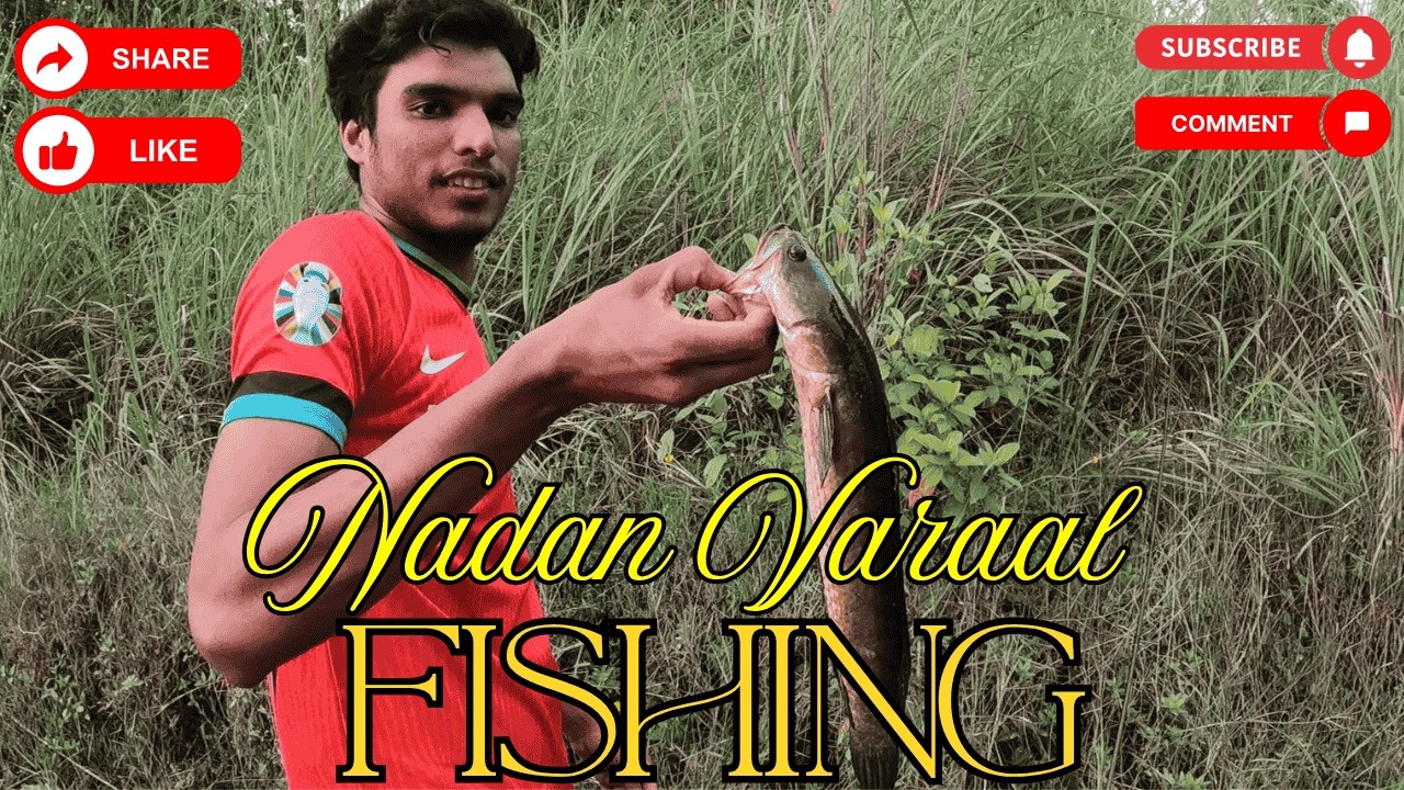 naadan varal fishing malayalam | snakehead fishing kerala | snake head fishing | fishing kerala