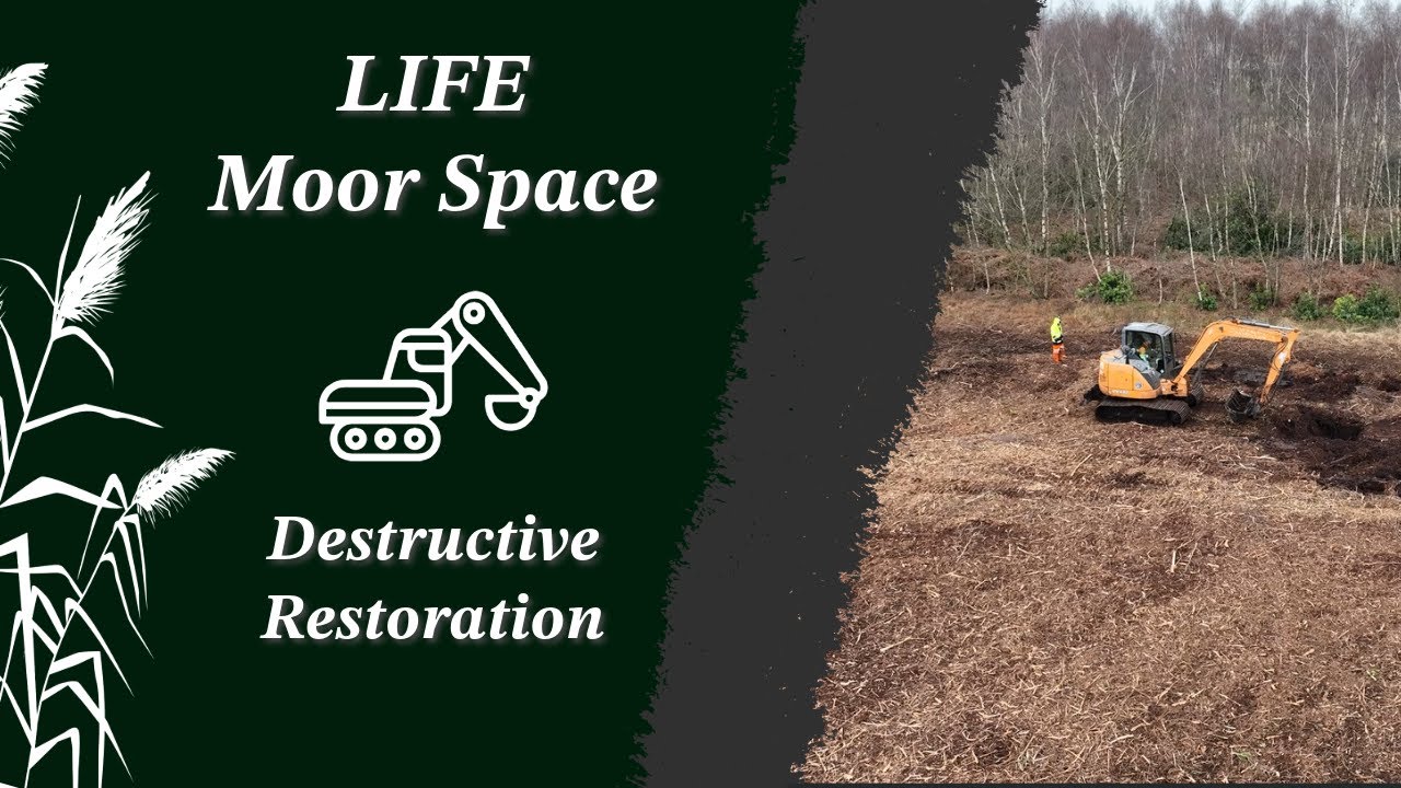 Restoring Thorne Moors - A destructive process