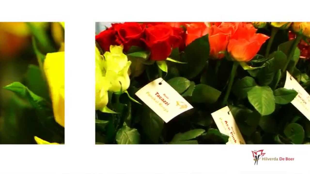 Flower Event Hilverda De Boer