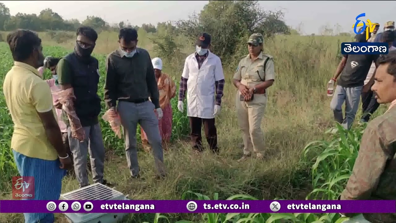 Leopard Footprints Found in Madnoor | Fear in Kamareddy District | కామారెడ్డిలో చిరుత పులి సంచారం