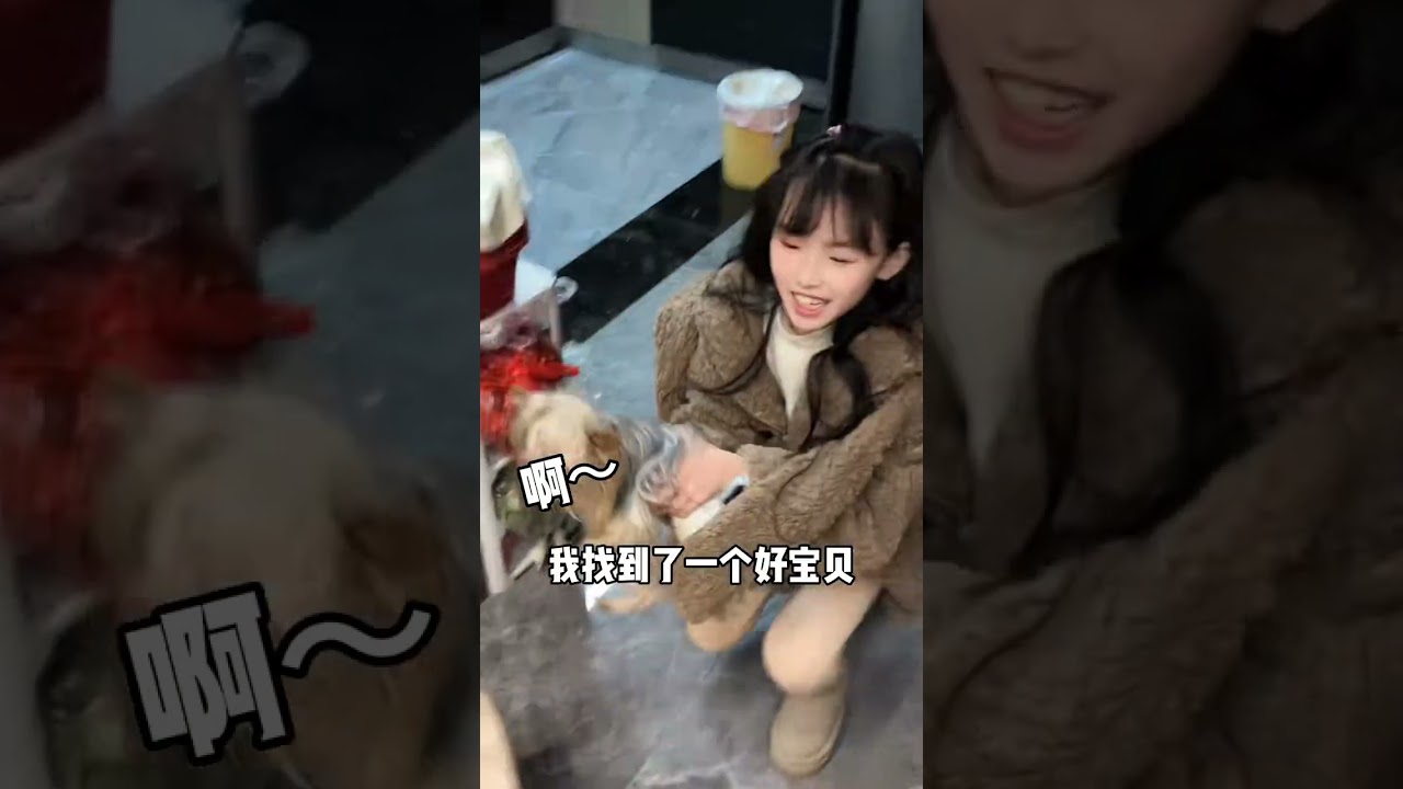 典典家真好玩下次我還要來 #vlog #reel #劉格格 #騙你生女兒 #格格 #萌娃 #典典 #張典
