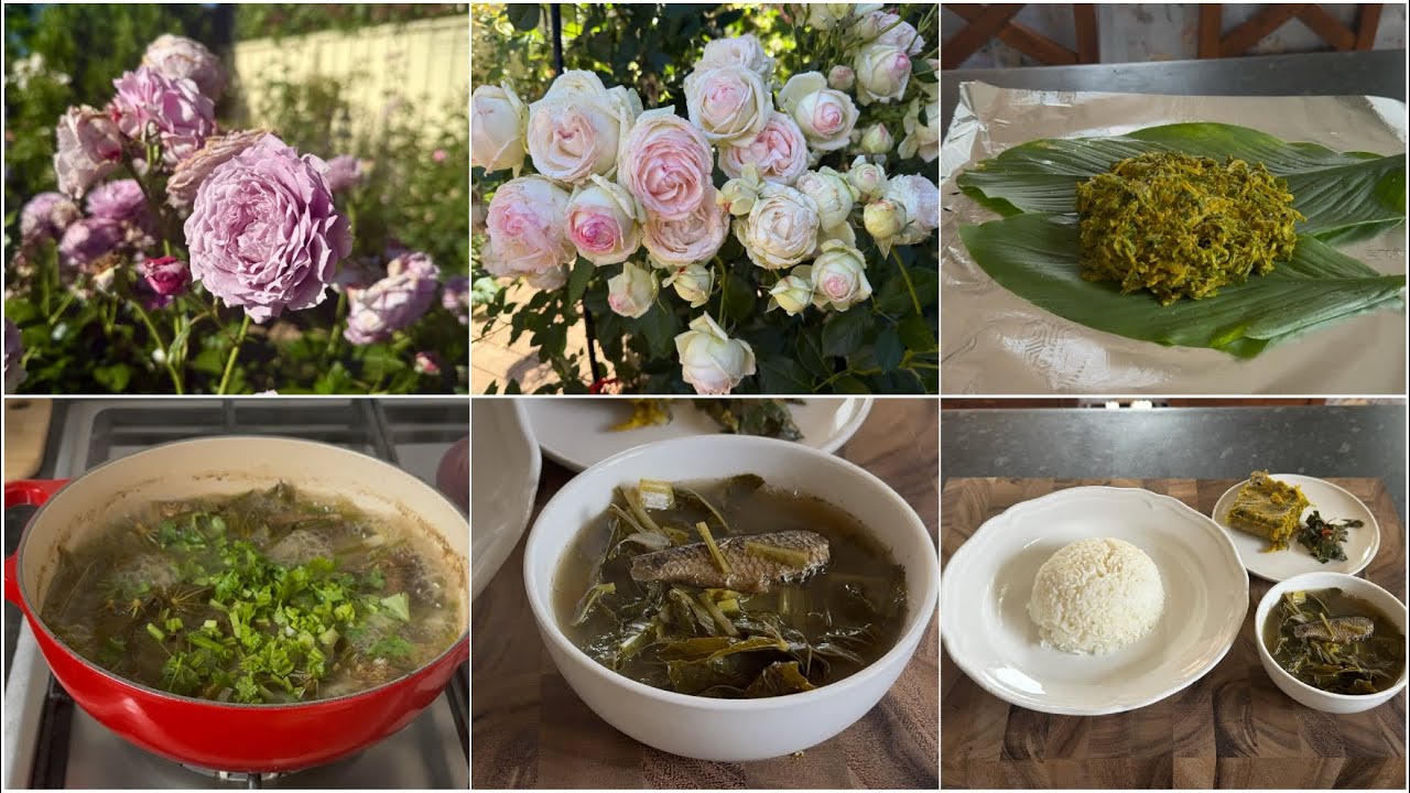 Sougriga Besan Paknamgana Haobasidi / Summer Roses 