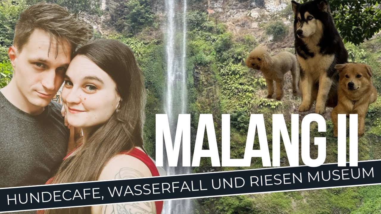 Java, Indonesien - Malang, die süßesten Hunde der Welt und eine gefährliche Quadfahrt.