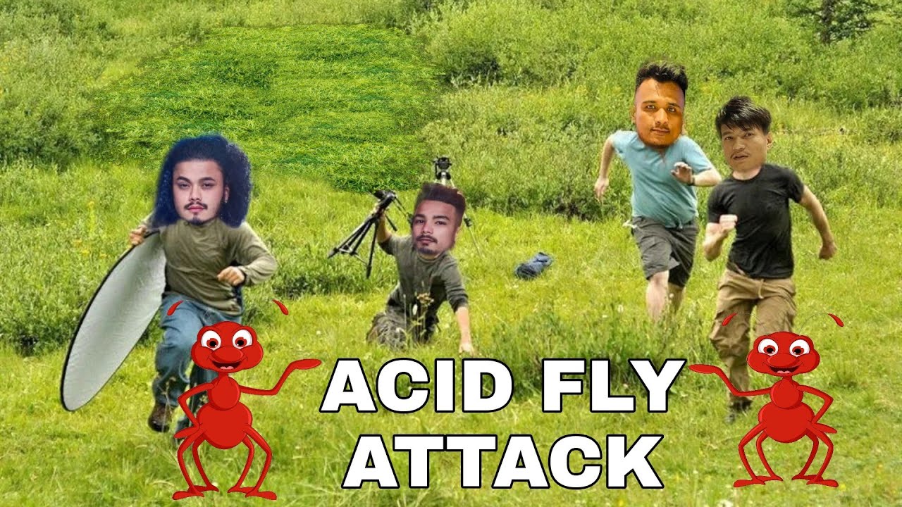 Acidfly Kanda