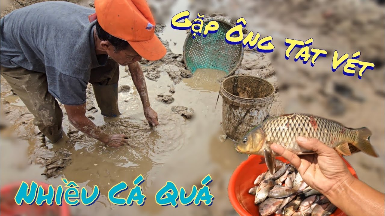 Gặp Ông Cụ Tát Vét Ở Sông Máng Được Nhiều Cá Quá /Nhân Tạ Mốt
