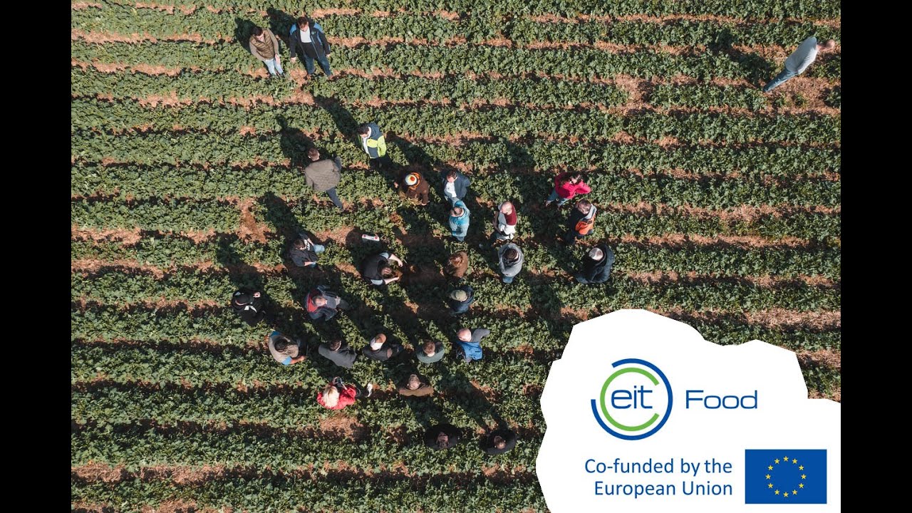 Regenerat&iacute;vne poľnohospod&aacute;rstvo EIT FOOD Slovensko