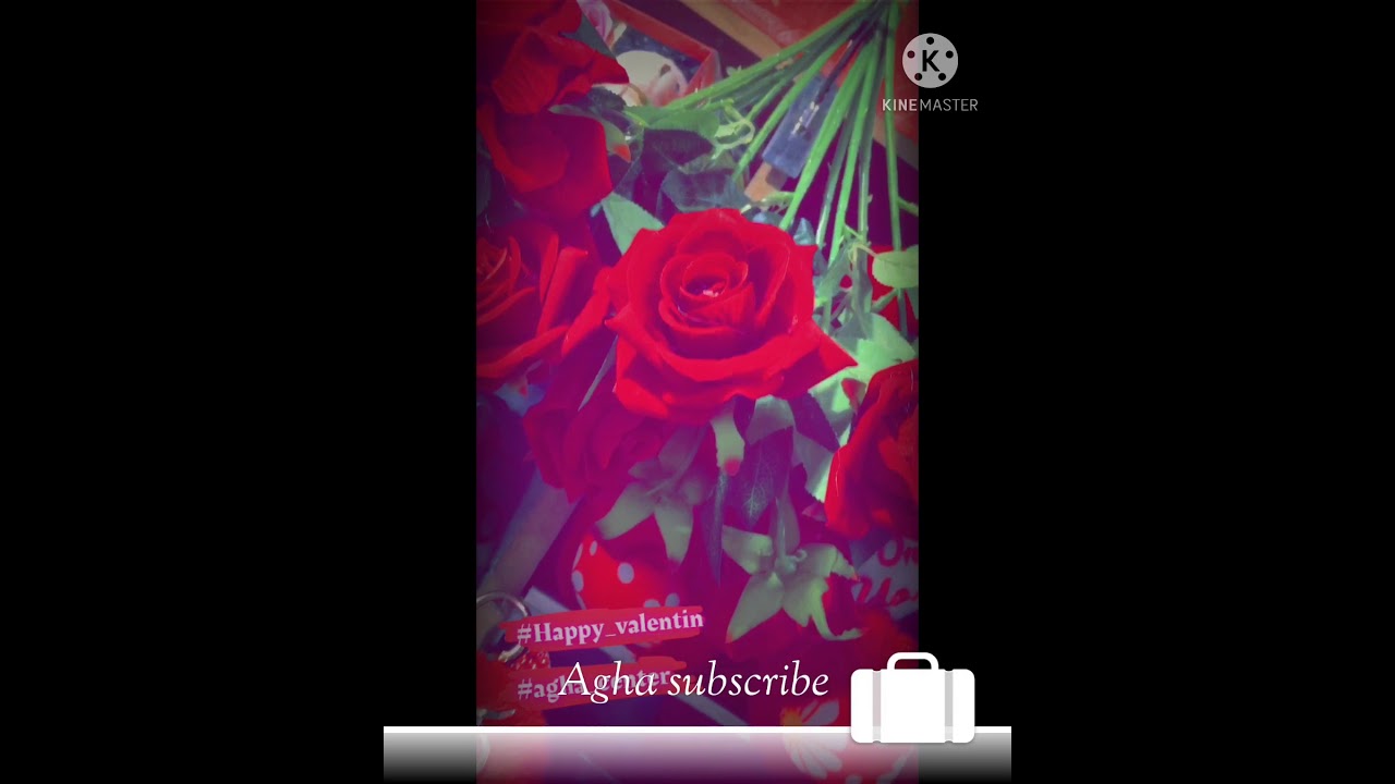 Happy Valentine’s Day in Agha center in duhok
