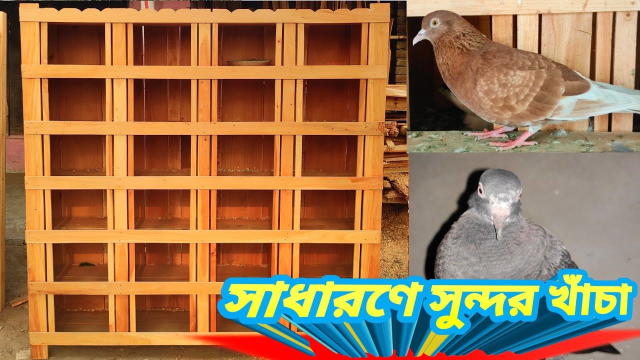 সাধারণে সেরা কবুতরের খাঁচা।দেখতে যেমন সুন্দর তেমনি কার্যকর। Pigeon Lover BD