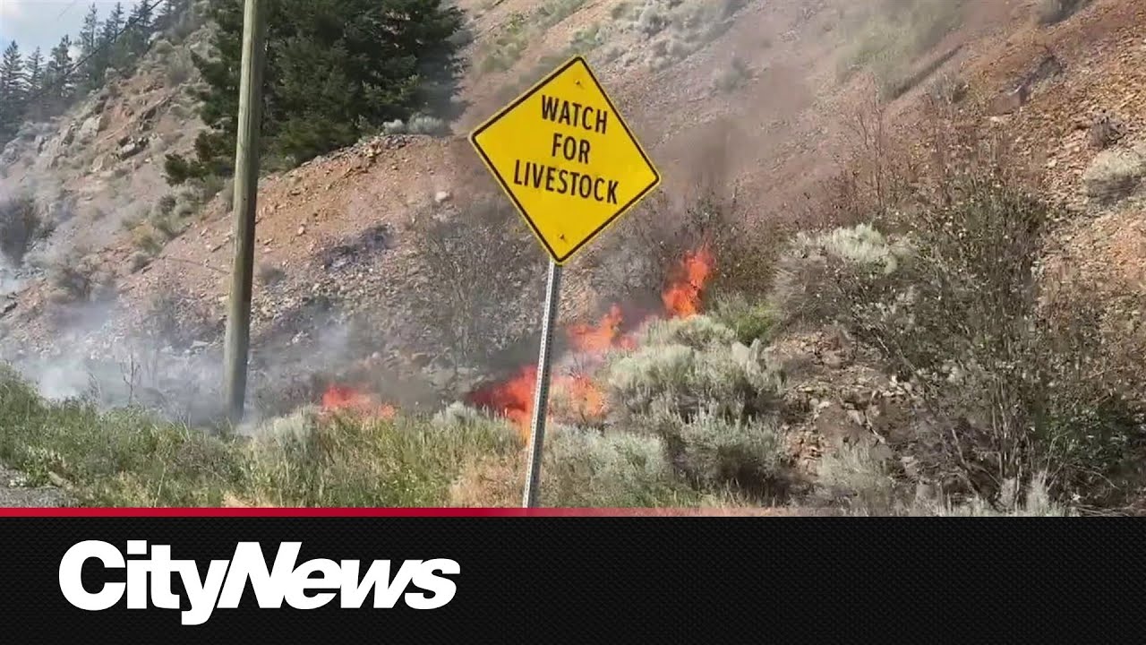 RCMP confirms team accidentally sparked wildfire north of Lytton