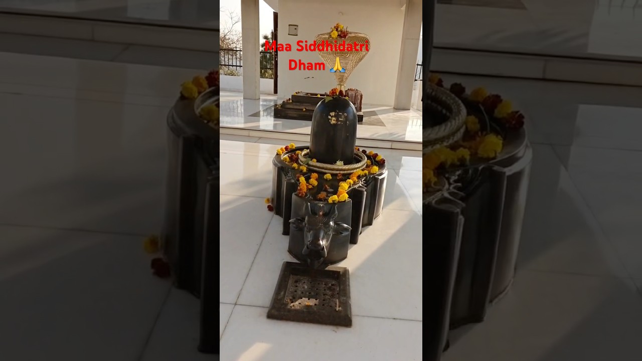 Maa Siddhidatri Dham 🙏 