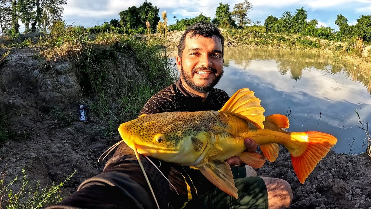 O PIRARARA DA NOSSA REPRESA SOBREVIVEU, OLHA O TAMANHO QUE JA ESTA, PESCAMOS NA VALA DO ATERRO