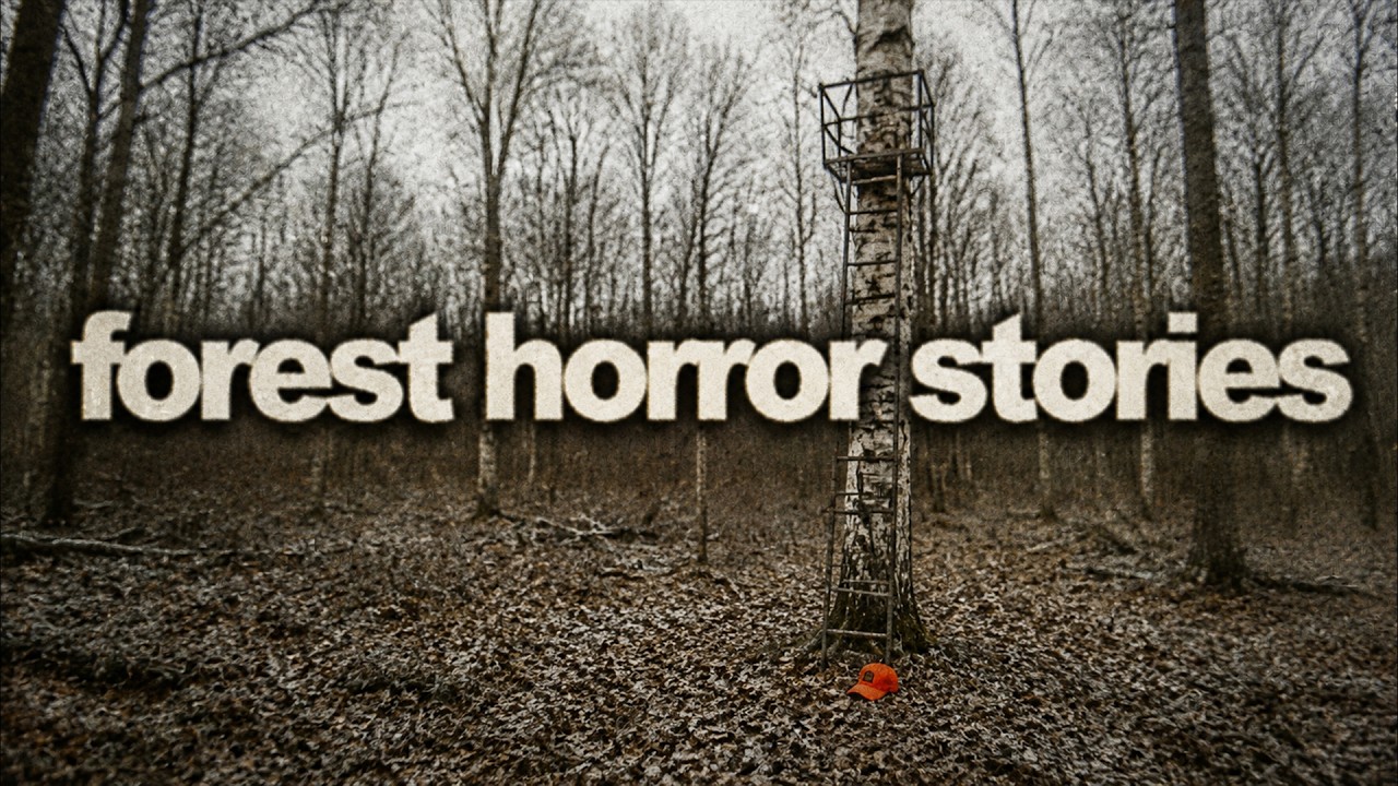 Forest Horror Stories to Tell Around the Fire