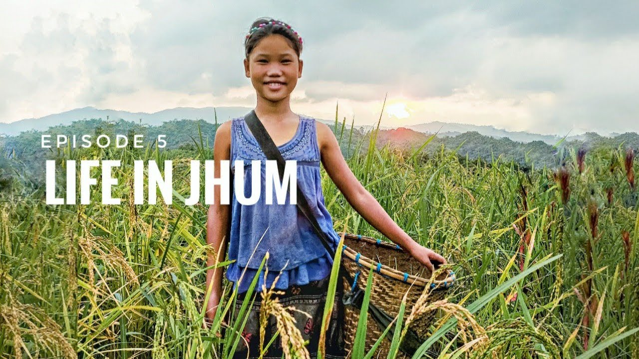 Ep5- Life of Jhum Cultivators of Mizoram Part 1 | Shifting Cultivation | Mizoram Meri Jaan |