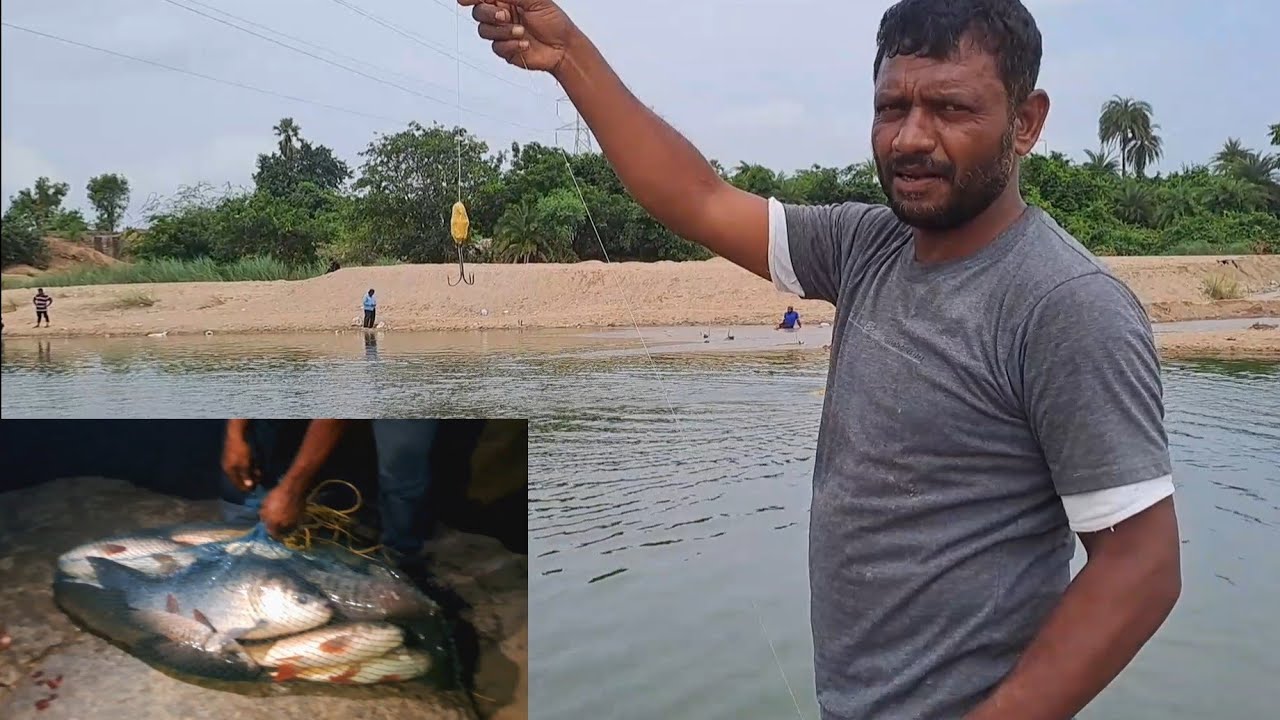 How To Fishes Catching 50kg Amjad Khan Fishing videos