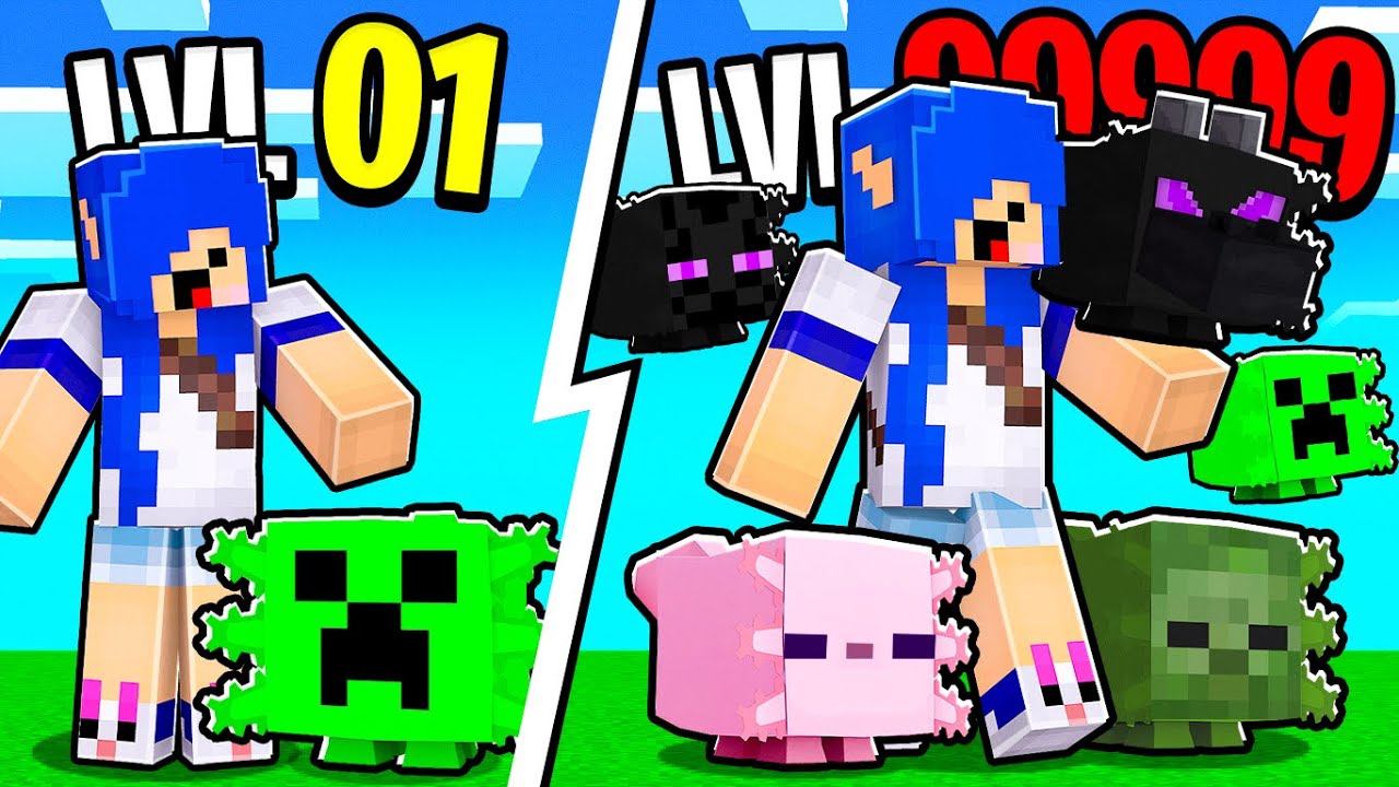Pet Simulator Minecraft