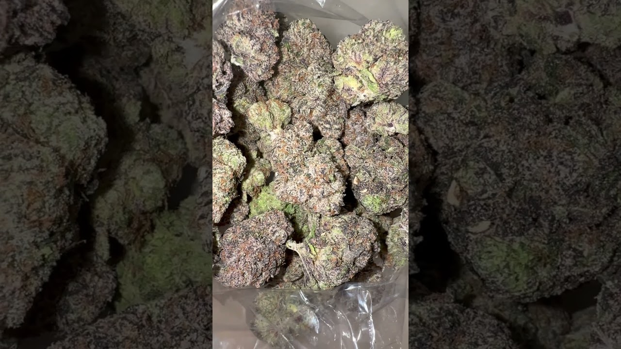 Wiz Khalifa - Red Eye  Cannabis Review Blue Lemon Cherry Gelato  32% THC🔥🏆 #music #subscribe #like