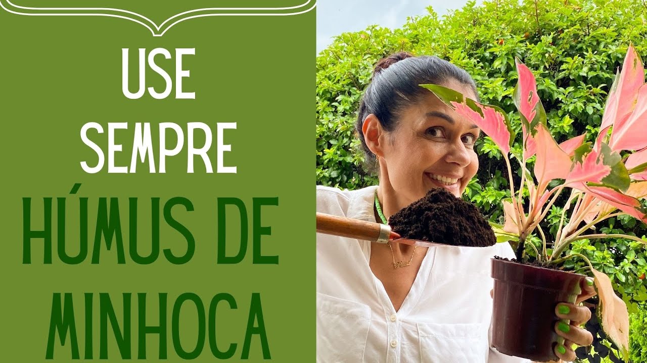 JARDINAGEM: Para que serve e como usar o húmus de minhoca
