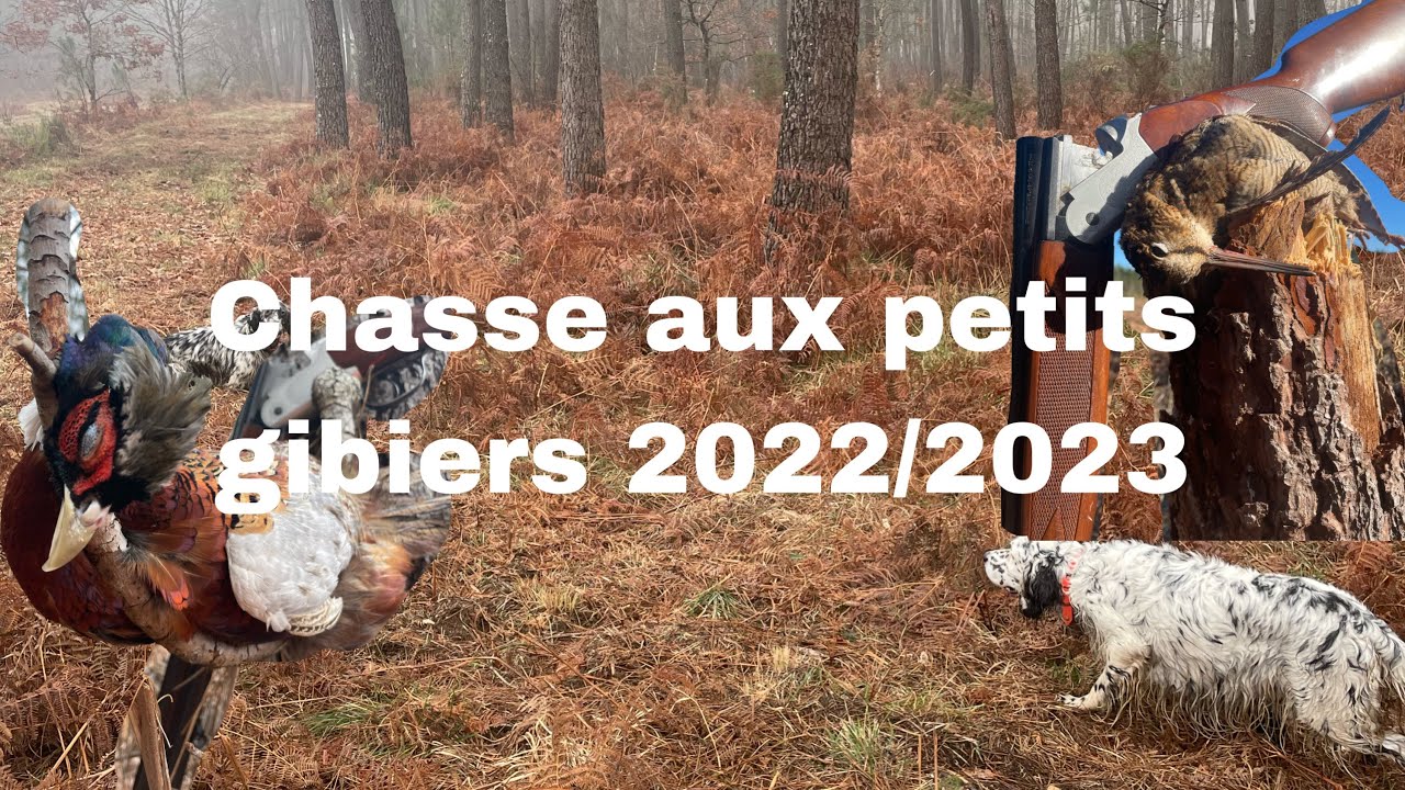 Chasse aux petits gibiers 2022/2023