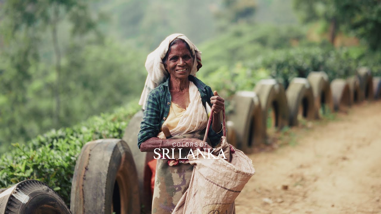 Colors Of Srilanka