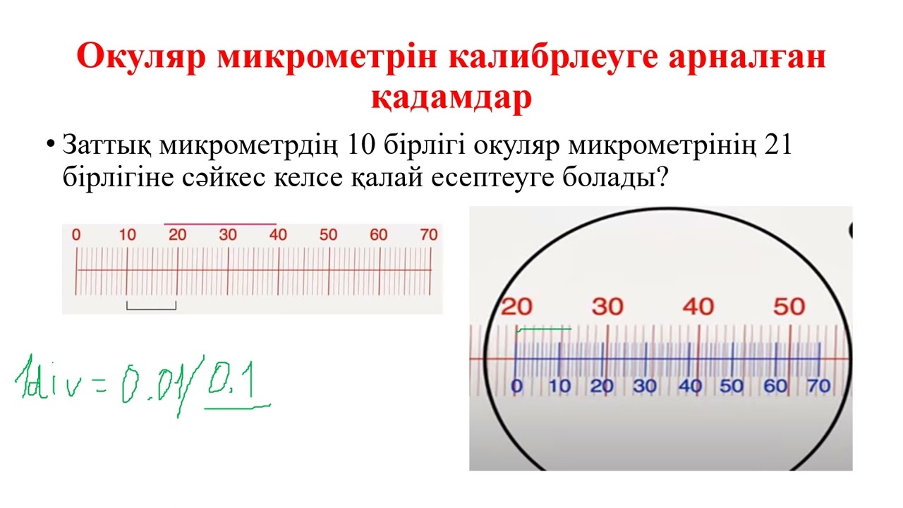 11_кл_«Микрометр мен объект микрометрді жасушалардың нақты өлшемдерін анықтауға қолдану»