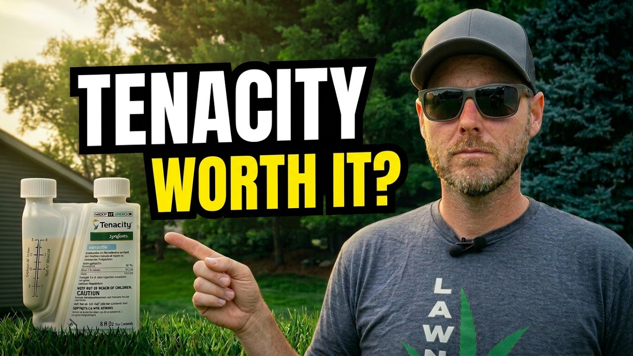 Стоит ли использовать Tenacity? #уходзалужениемдома