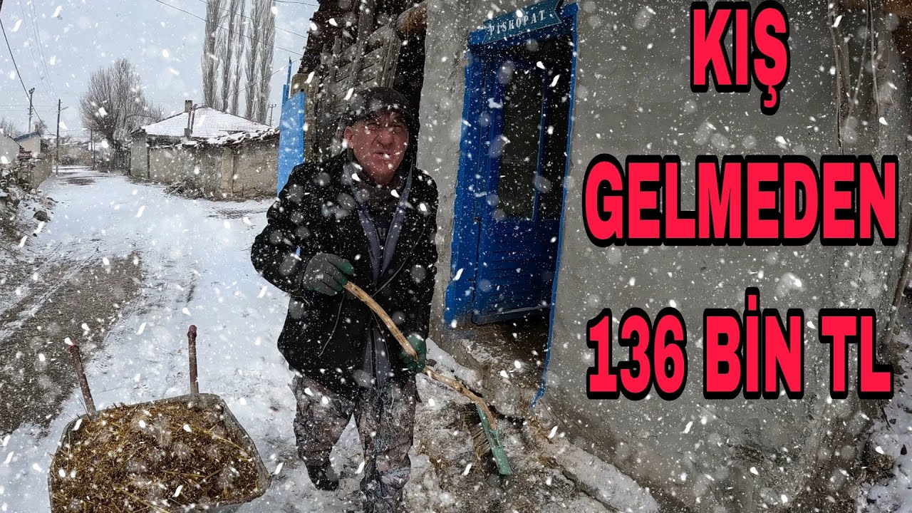 KIŞ GELMEDEN 136 000 TL ~ BU SEFER DONUCAZ~2. KUZULUK FALİYETE GECTİ~