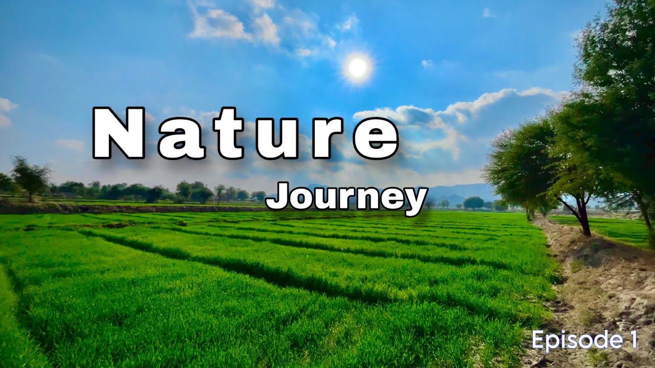 My First Nature Journey | Peaceful Green Nature 🌿