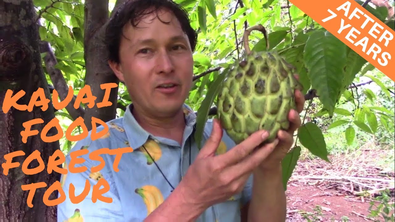 How a Food Forest Garden Maximizes Food Production | Regenerative Agriculture