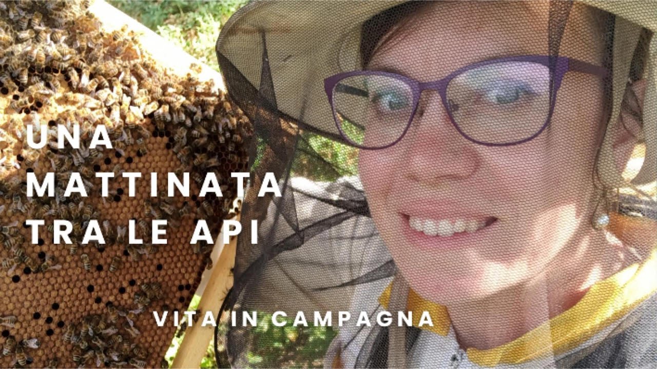 Una mattinata tra le api / Vita in campagna