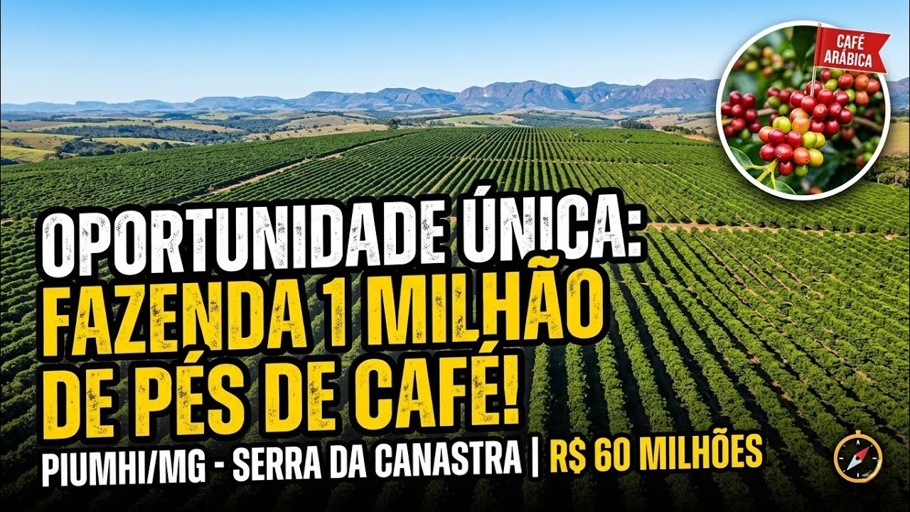 FAZENDA DE CAFÉ EM PIUMHI/MG: 1 Milhão de Pés em Produção (234 Hectares)