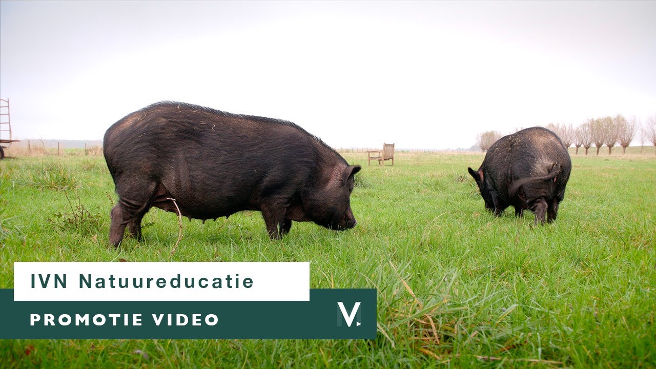 IVN - Natuurinclusief ondernemen