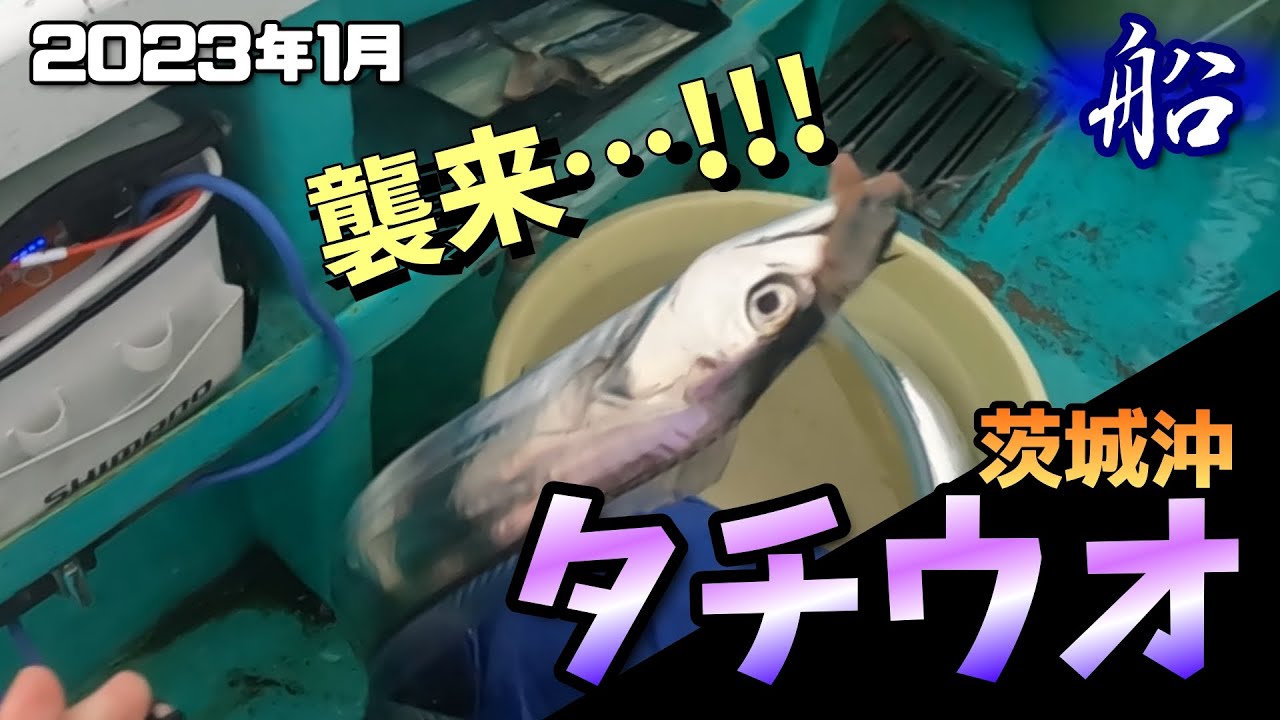 【船釣りタチウオ】1月！太平洋タチウオ！大群襲来！