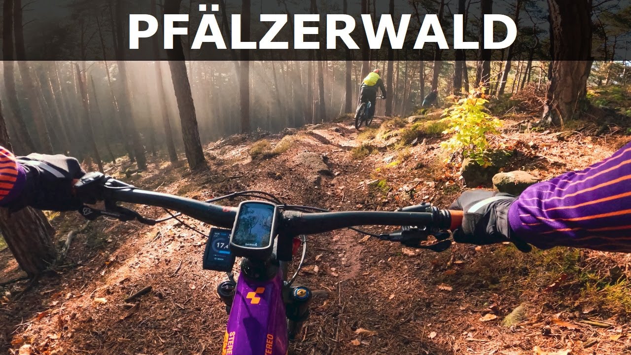Diesmal eine richtige Gemütliche Herbsttour auf Singletrails im Pfälzerwald