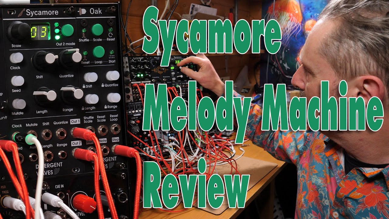 Divergent Waves Sycamore & Oak Review