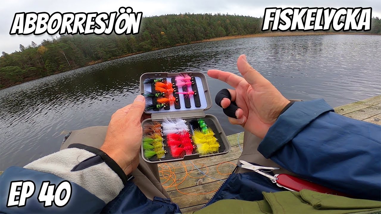 Provar Nya Flugor i Abborresjön | Fiskelycka | Ep 40