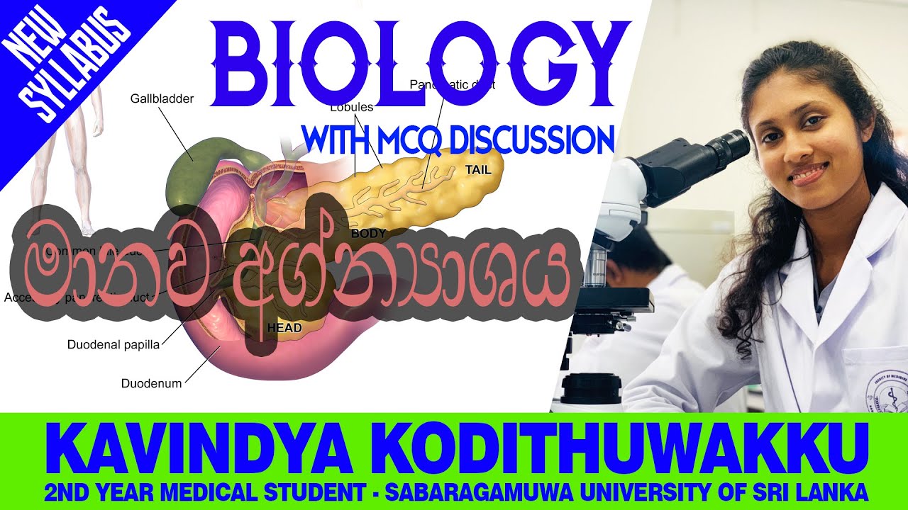 මානව අග්න්‍යාශය - Human Pancreas - Kavindya Kodithuwakku