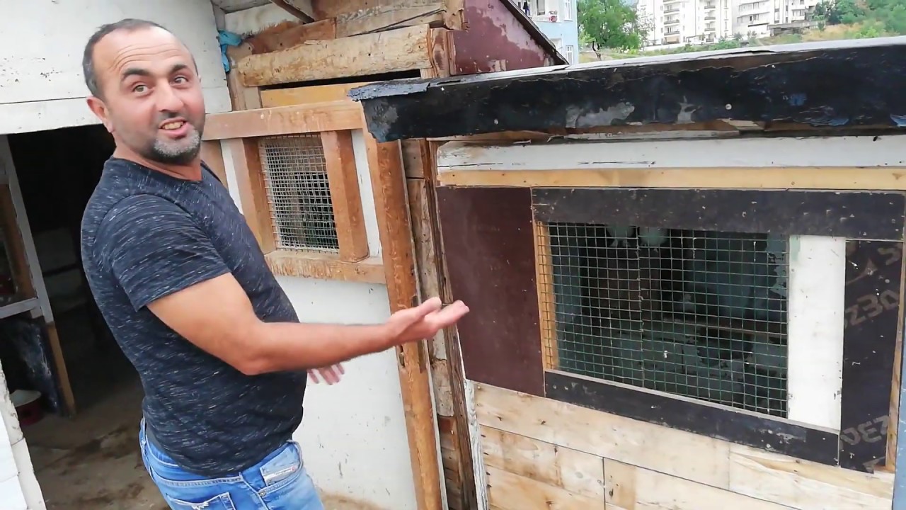 25 Yıllık Damar, 15 Yaşında Güvercin, Murat Yağız Abinin, Taklacı Güvercin Kümesindeyiz.