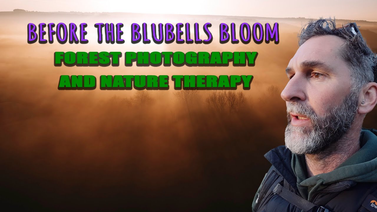 Before the Bluebells Bloom | Forest Photography & Nature Therapy